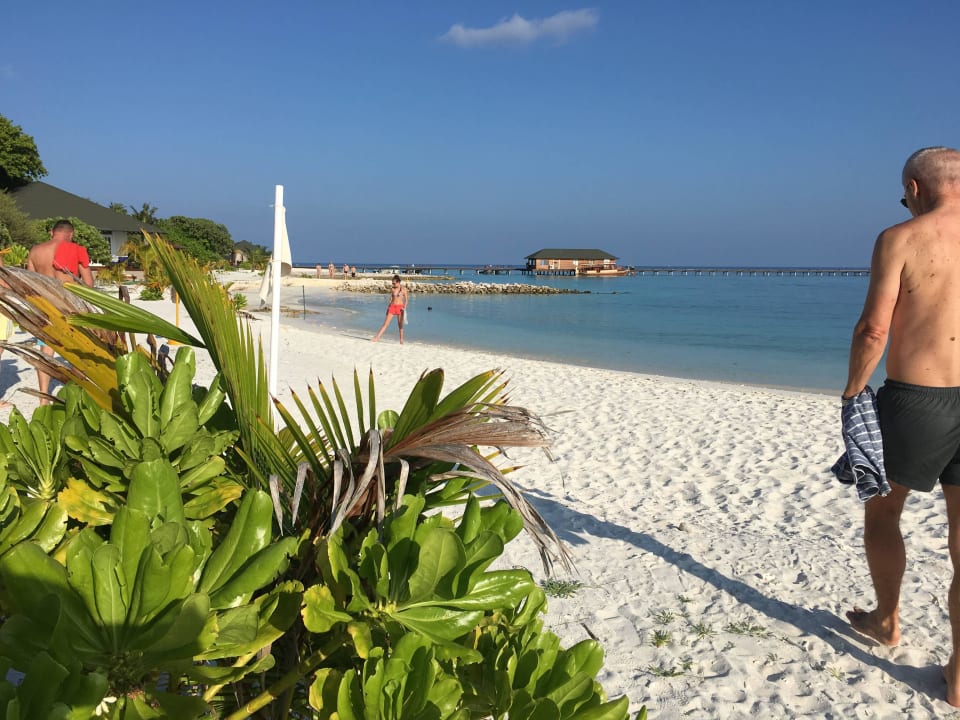 Strand Richtung Anlegesteg Wasserflugzeug Adaaran Select Meedhupparu Island Resort - Premium All Inclusive