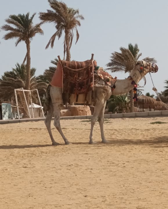 Strand Three Corners Sea Beach Resort