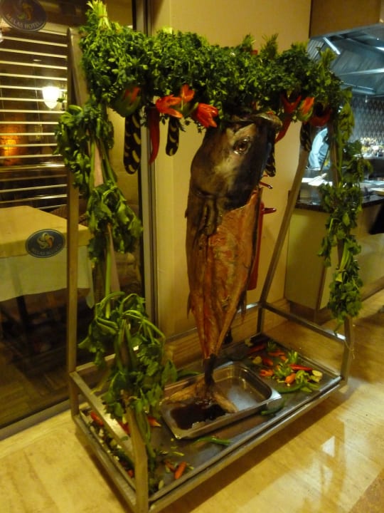 Thunfisch frisch am Haken Melas Resort Hotel