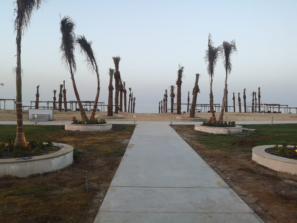 Strand Steigenberger Resort Alaya Marsa Alam - Red Sea - Adults only