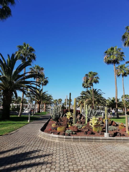Gartenanlage Hotel Riu Gran Canaria