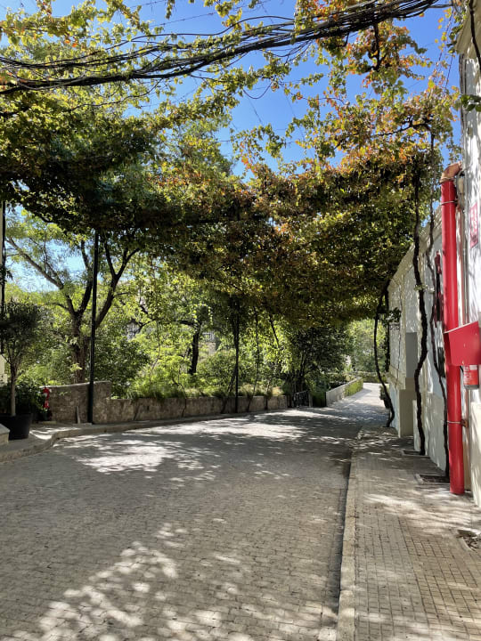 Gartenanlage Hotel Bodega Tio Pepe