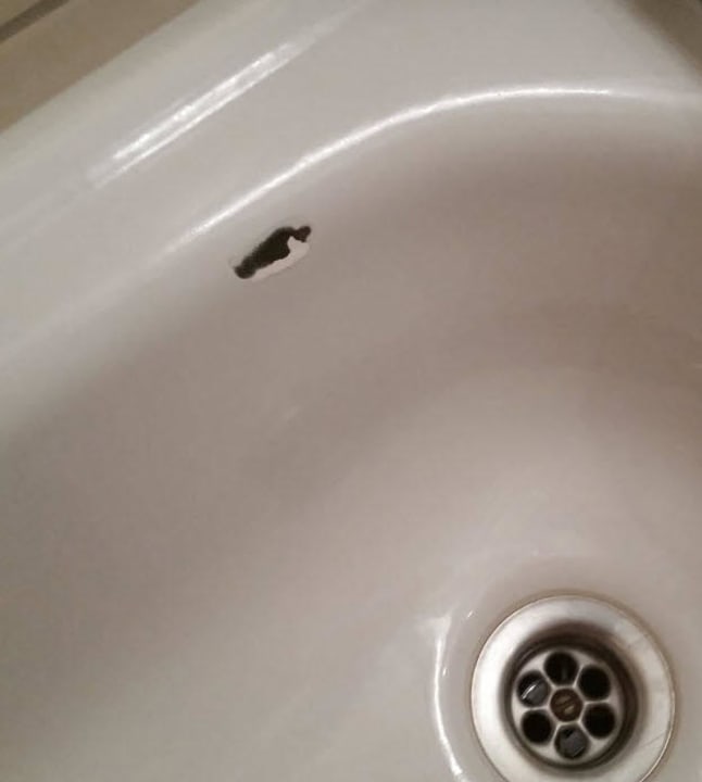 Geplatzte Emaillie in Dusche Hotel Zur Linde