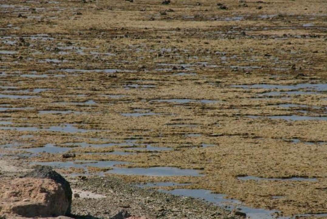 Ebbe Mövenpick Resort El Quseir