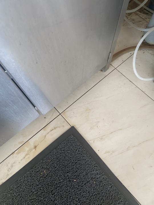 Gastro TUI SUNEO Chrissi Amoudia