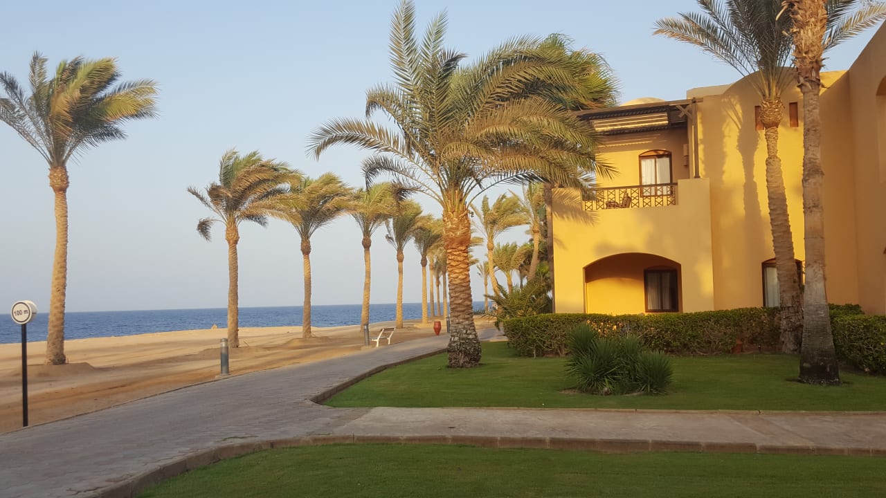 Gartenanlage Steigenberger Coraya Beach - Adults only