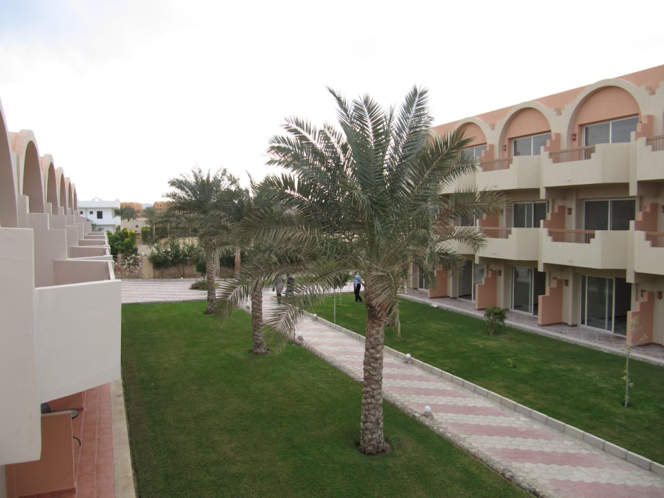 Widok z pokoju Three Corners Sea Beach Resort