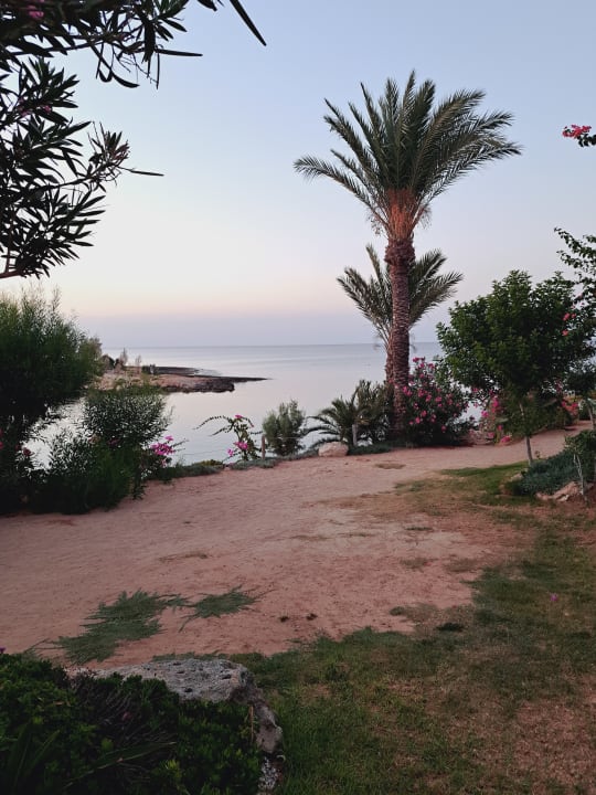 Ausblick Crystal Springs Beach Hotel