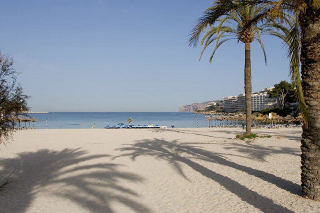 Santa Ponsa Beach Jutlandia Apartments