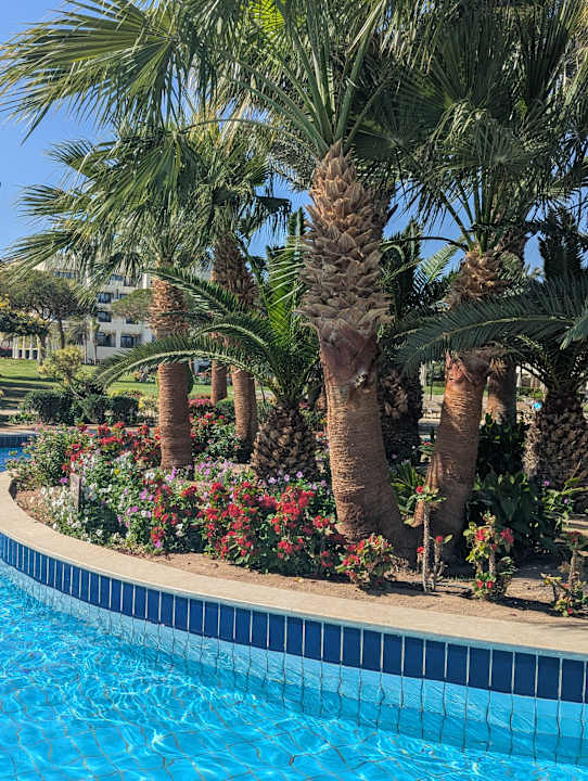 Gartenanlage Steigenberger ALDAU Beach Hotel