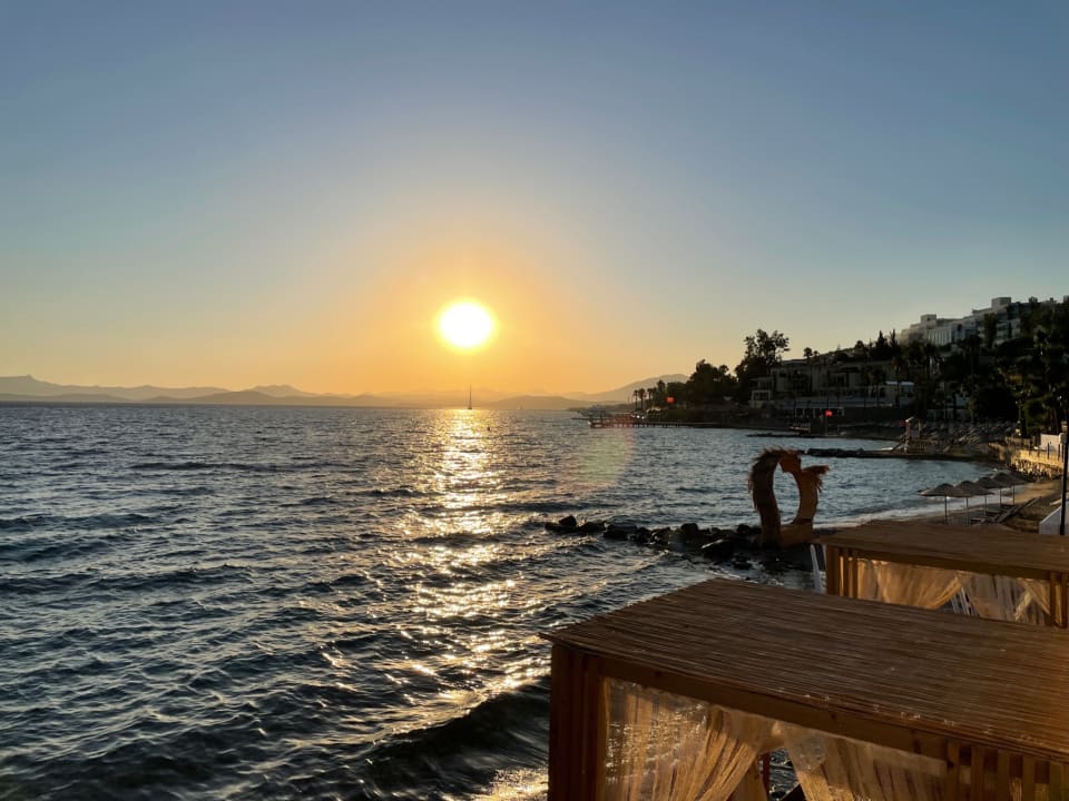 Ausblick TUI MAGIC LIFE Bodrum - Adult Only (16+)