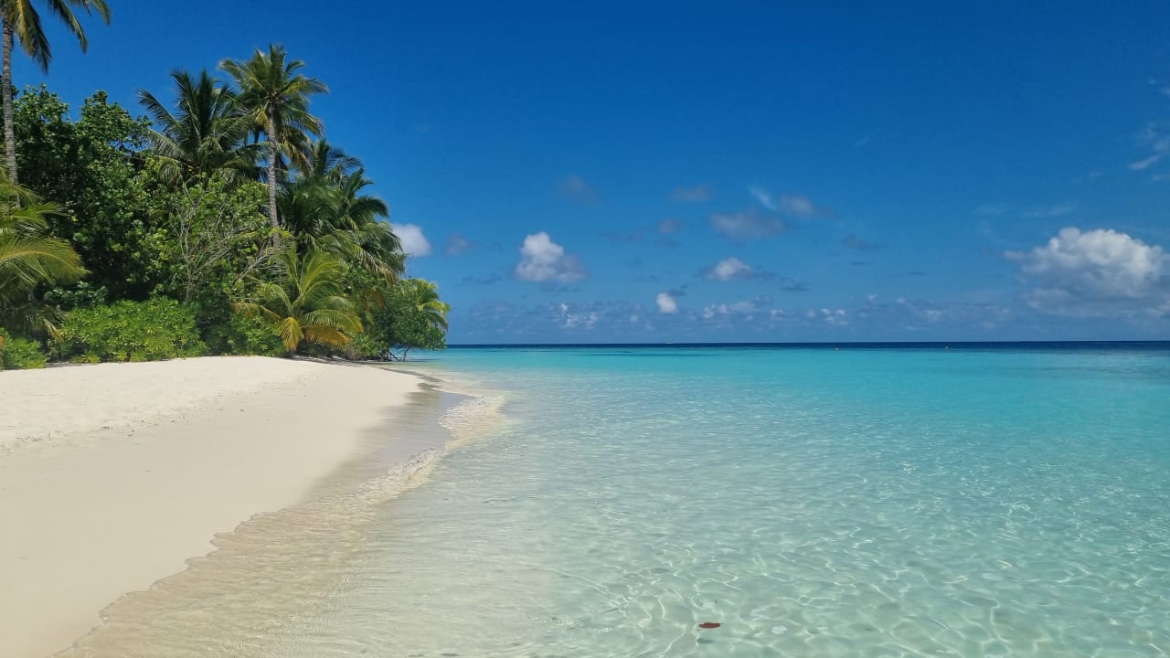 Strand Safari Island Maldives