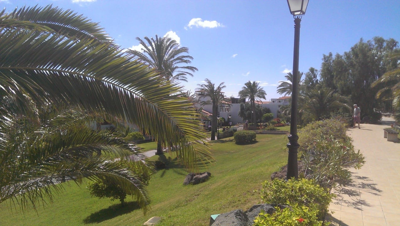 Alle grün und weitläufig TUI MAGIC LIFE Fuerteventura