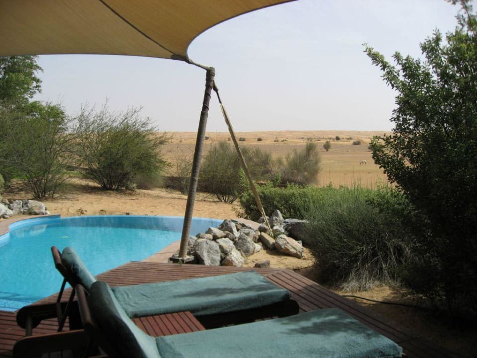 Pool und Liegen an der Suite Al Maha, A Luxury Collection Desert Resort & Spa