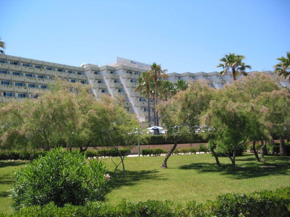 Hotel Blau Mediterraneo - Zwischen Pool zum Strand Hipotels Mediterraneo
