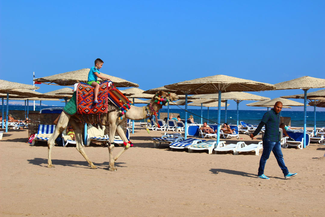 Пляж отеля Blend Club Aqua Resort