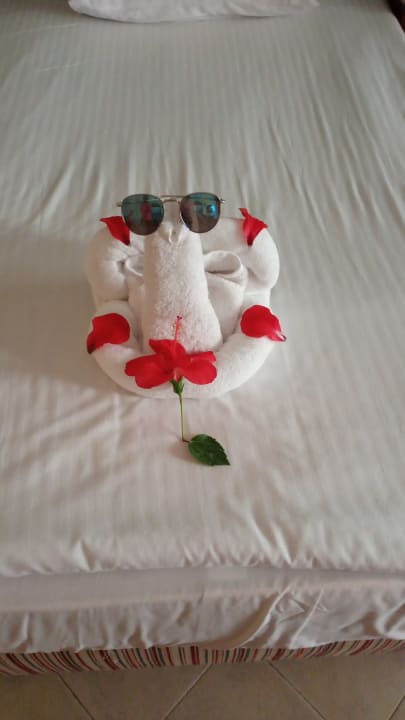 Zimmer Titanic Beach Spa & Aqua Park