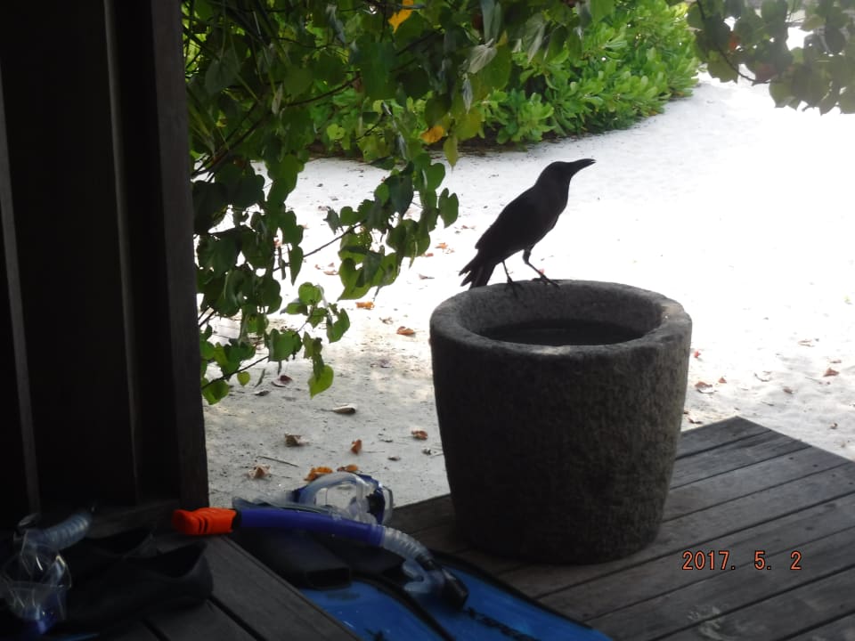 Sonstiges Gangehi Island Resort