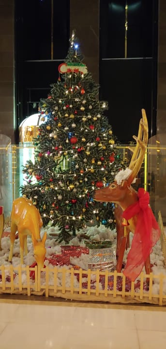 Lobby Side Royal Palace Hotel & Spa