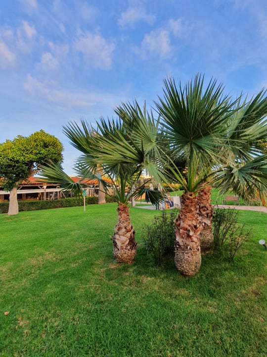 Gartenanlage Anissa Beach & Village