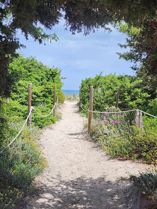 Gartenanlage Grupotel Parc Natural & Spa