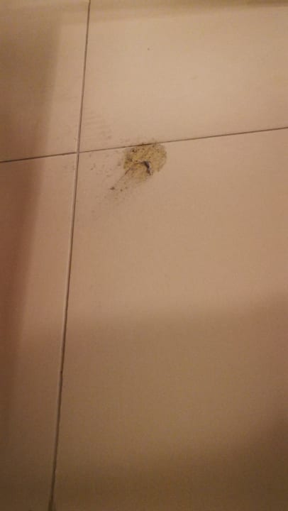 Zimmer Lawendowe Tarasy