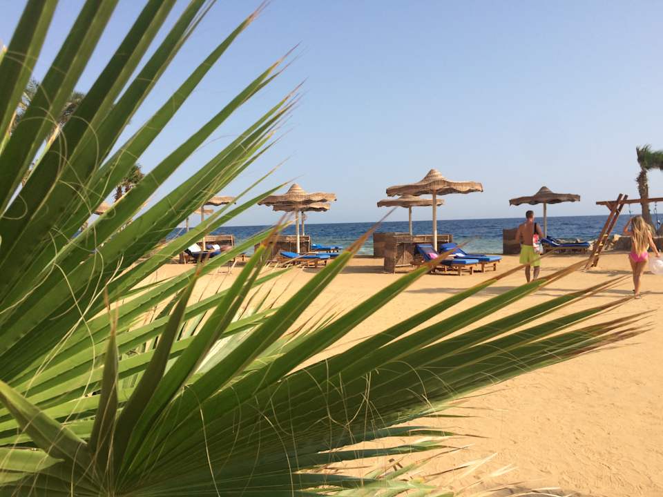 Strand Pickalbatros Citadel Resort