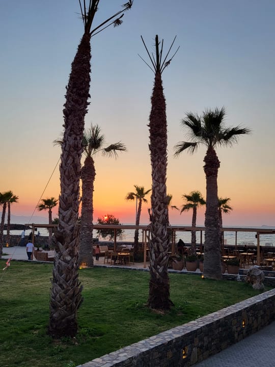 Gastro Hotel Aphrodite Beach Club
