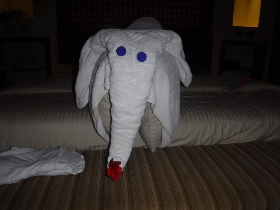 Zimmer Grand Waterworld Makadi & Family Star Makadi