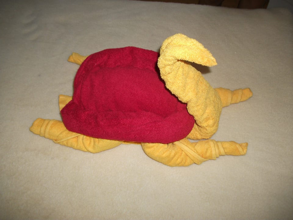 Handtuchschildkröte Desert Rose