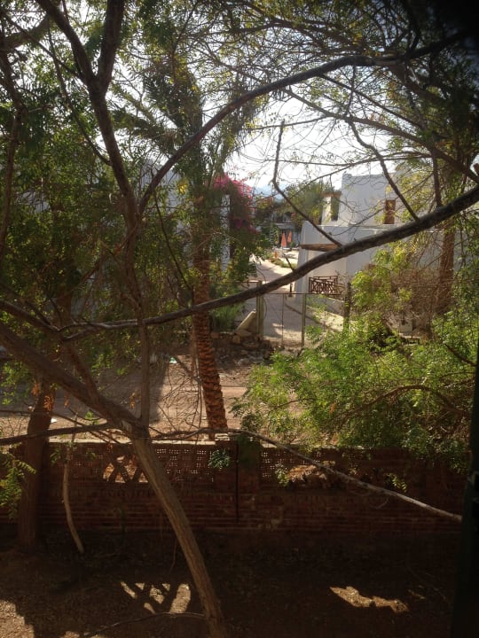 Aussicht aus Zimmerfenster Hotel Amar Sina