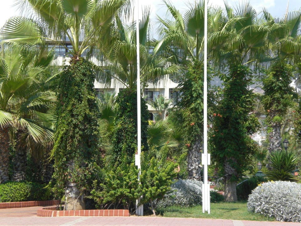 Blick vom Strand zum Hotel Gardenia Hotel