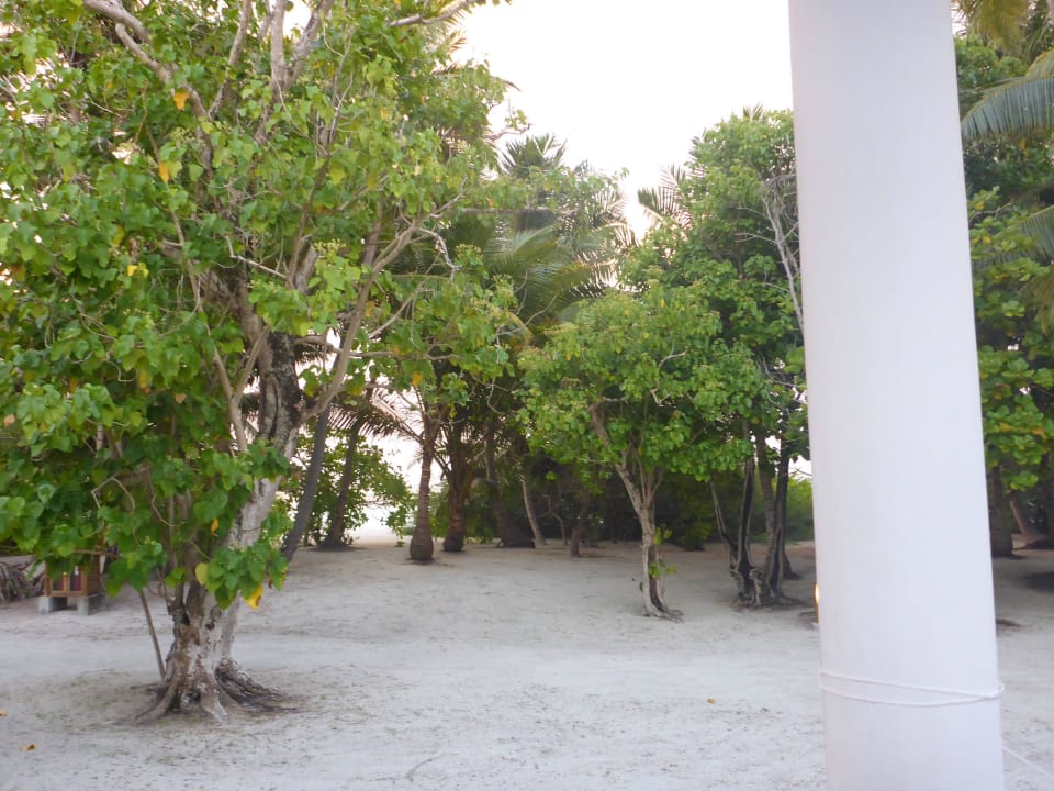 Von der Terrasse Beachbungi 409 Richtung Strand Meeru Maldives Resort Island