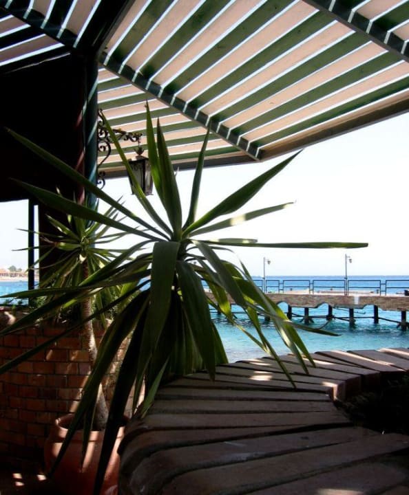 Strandbar Lotus Bay Beach Resort