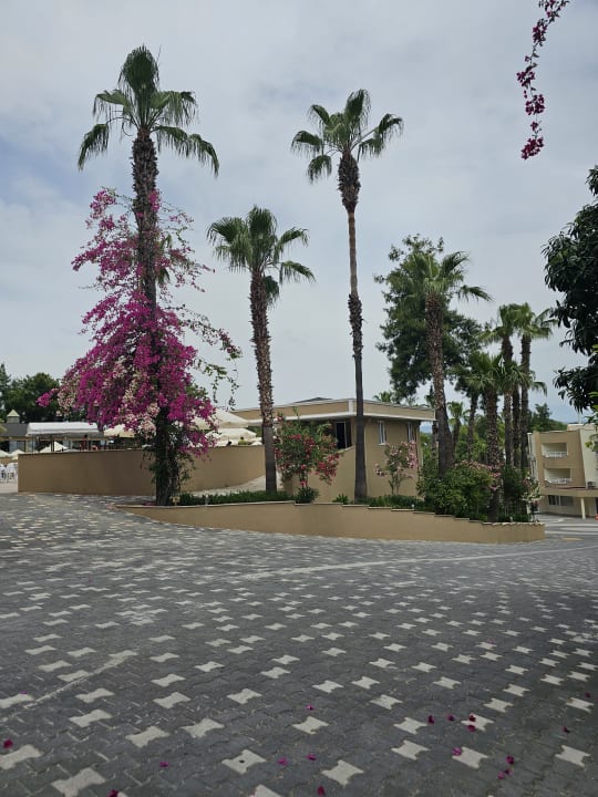 Gartenanlage Club Sidelya Hotel