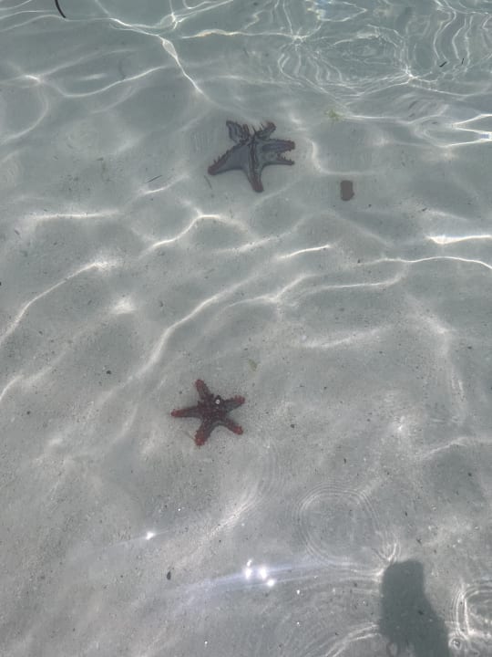 Strand Royal Zanzibar Beach Resort