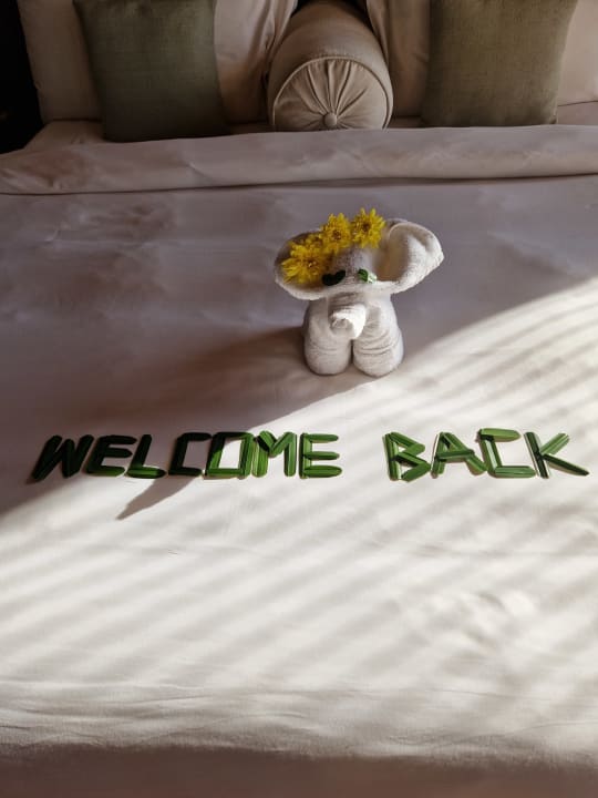 Zimmer Amatara Welleisure Resort