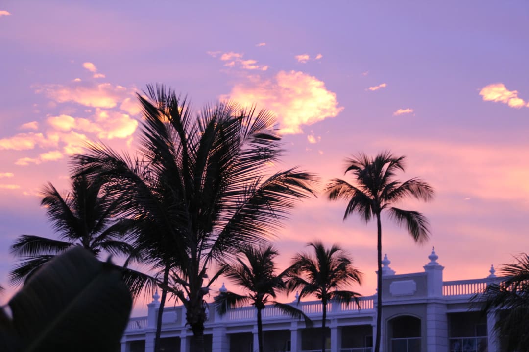 Ausblick Hotel Riu Palace Bavaro