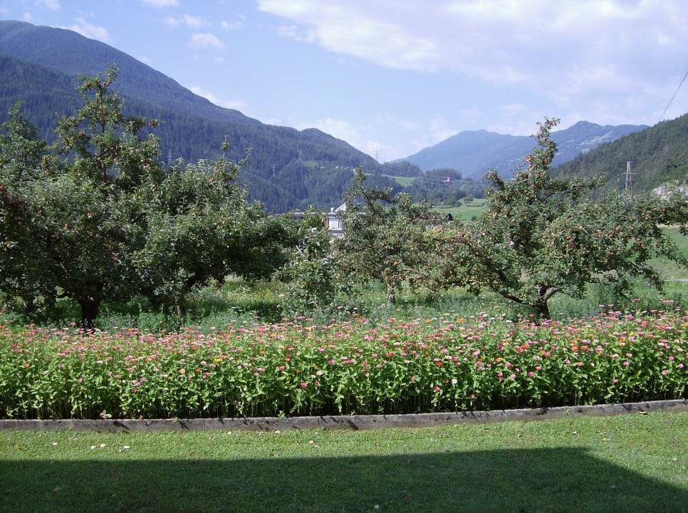 Tuin Pension Burschlhof