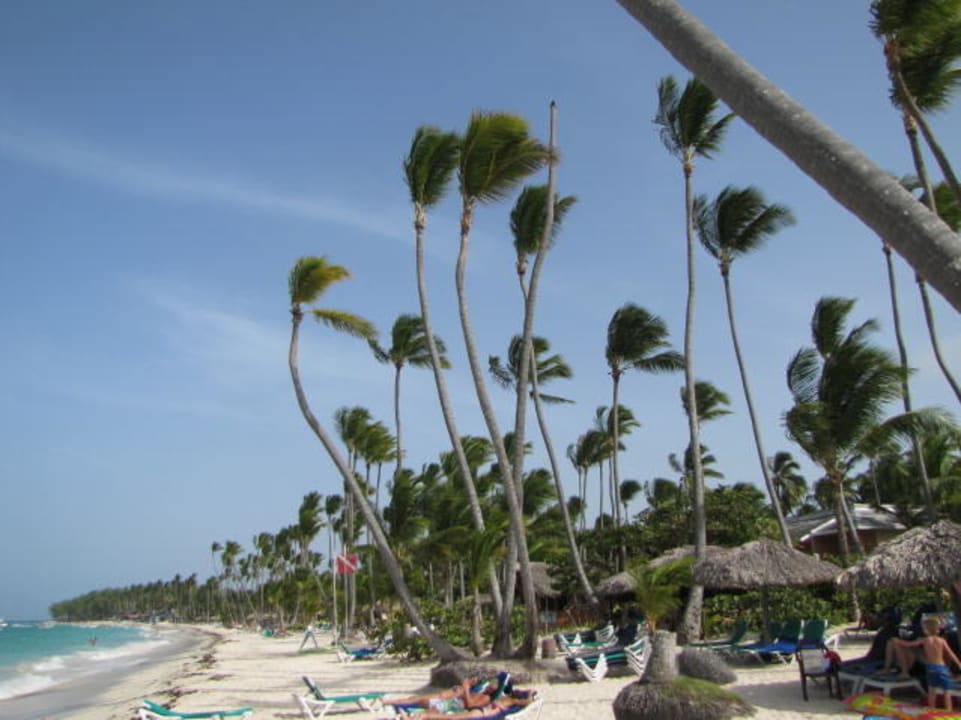 Plaża c.d. Hotel Grand Palladium Palace Resort, Spa & Casino