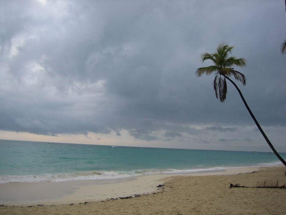 Hotelstrand Hotel Riu Palace Bavaro