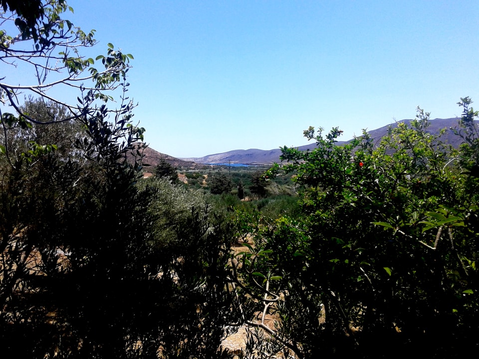 Ausblick Apartments Sunrise