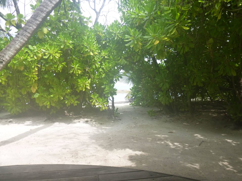 November 2013 Ellaidhoo Maldives by Cinnamon