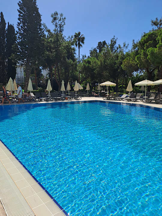 Pool Asteria Collection Side