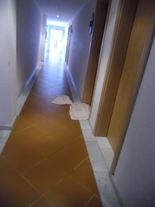 Flur nach dem Regen BLUESEA Costa Bastian