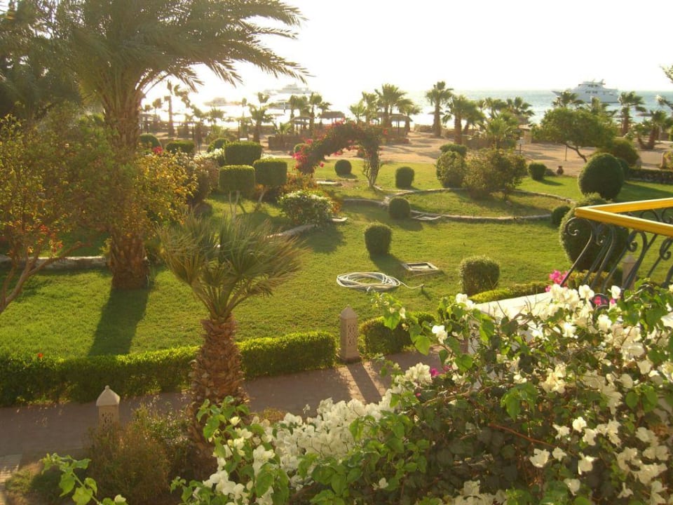 Ausblick vom Zimmer Lotus Bay Beach Resort