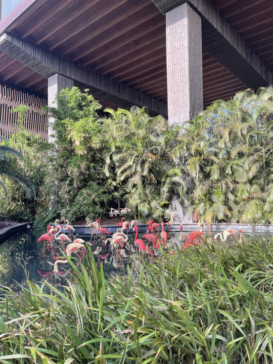 Gartenanlage Lopesan Baobab Resort