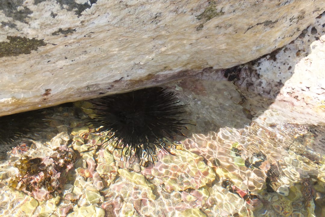 Strand Sands Suites Resort & Spa