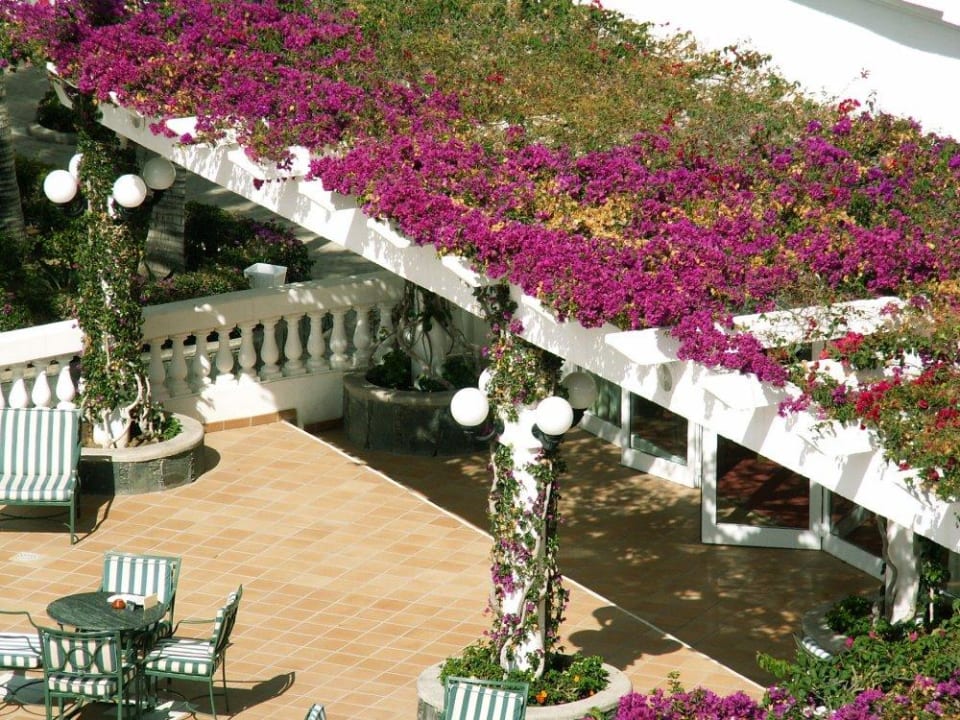 Terrasse Hotel Riu Palace Maspalomas Adults Only
