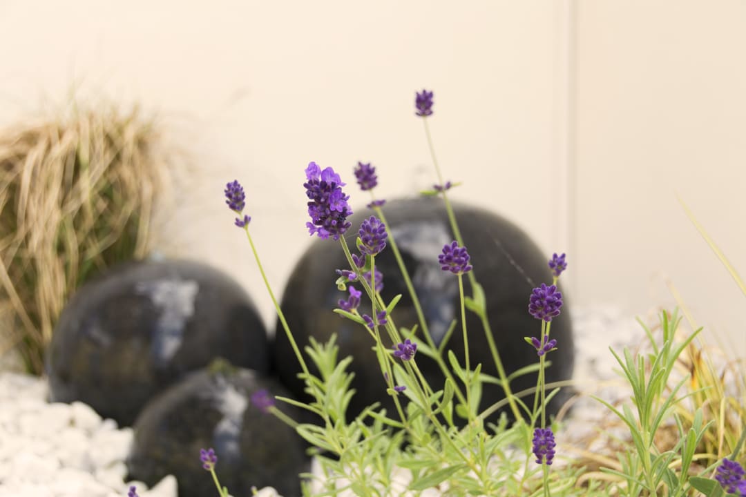Gartenanlage Freie Sicht - Haus am Wattenmeer
